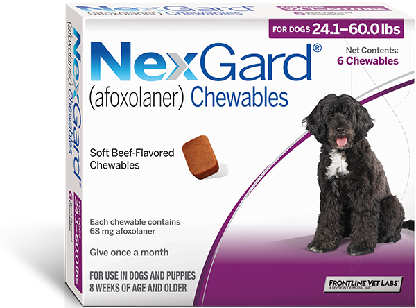 how often do you give your dog heartgard