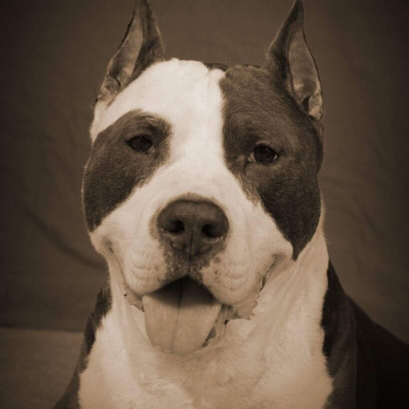 FB_IMG_15381729048101 copy